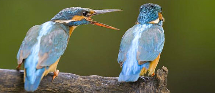 Dangerous World of RElationships